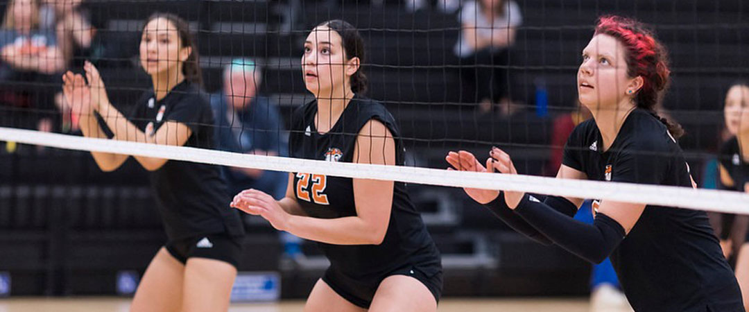 Occidental Volleyball Slide 2